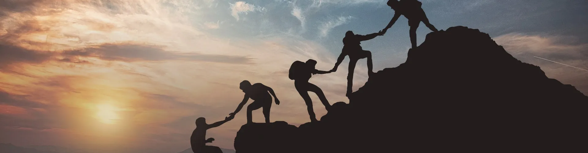 1669631615564300.webp 1.webp